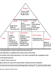 Preview of Problem Solving Tool
