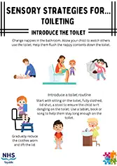 Preview of Sensory Strategies for Toileting