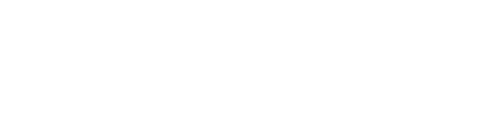 Professional Introduction
